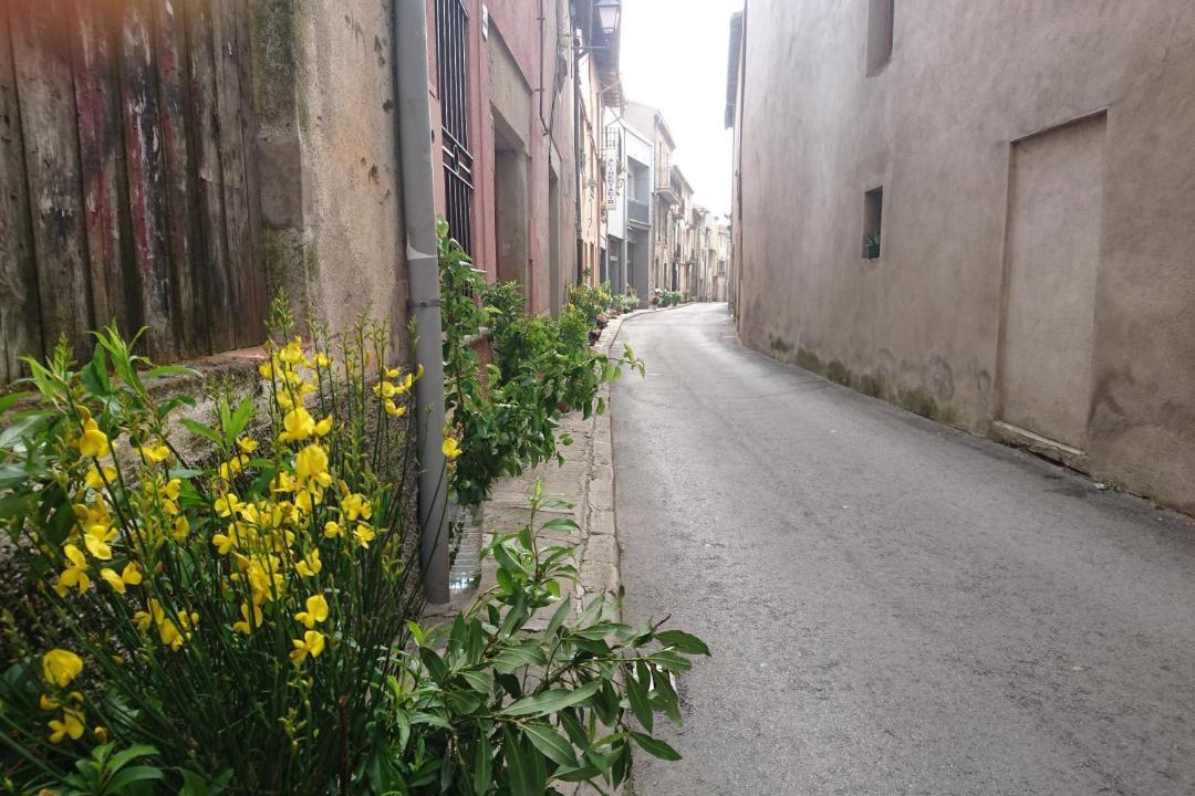 Photo of Others in Castelltercol