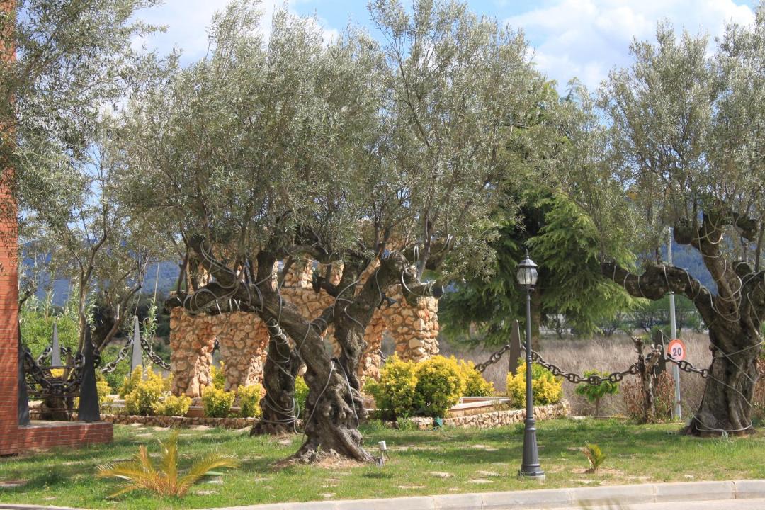 Photo of Outdoor in Sant Esteve Sesrovires