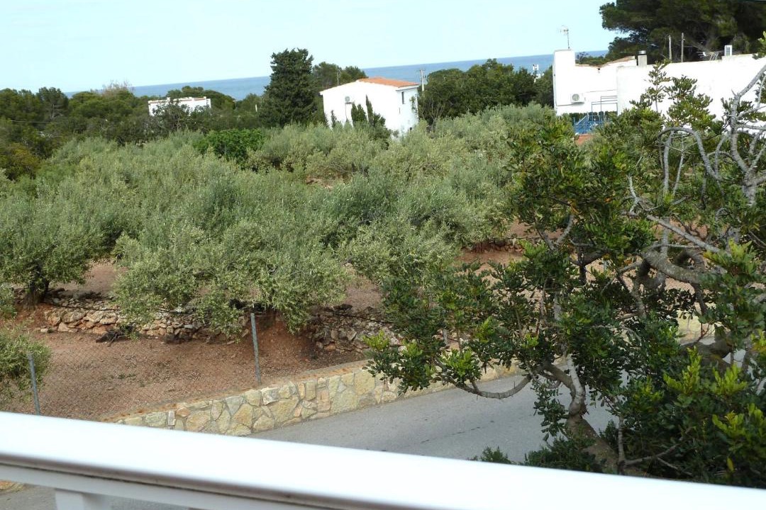Photo of Others in L Almadrava