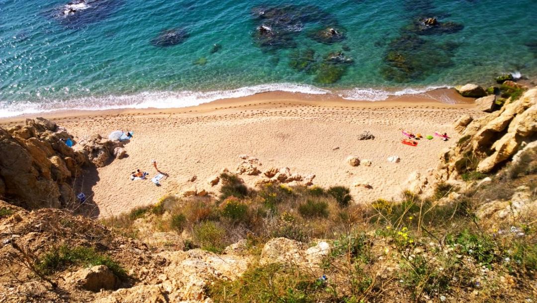 Photo of Others in Arenys de Mar