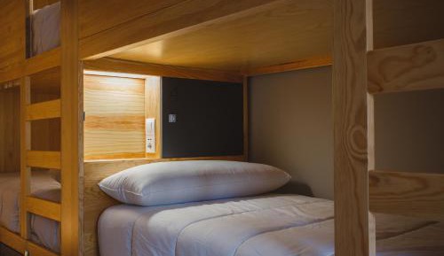 Bed in 4-Bed Female Dormitory Room